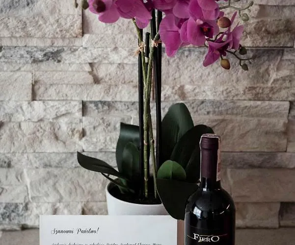 Elegance Pink Apartament Rewal